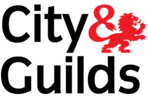 city-guilds-logo-1